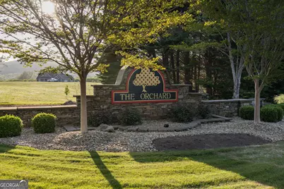 373 McIntosh Road, Clarkesville, GA 30523 - Photo 38