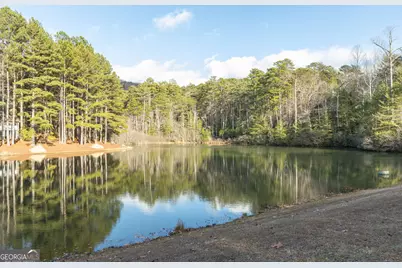 373 McIntosh Road, Clarkesville, GA 30523 - Photo 60