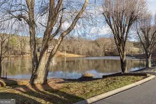 373 McIntosh Road, Clarkesville, GA 30523 - Photo 74