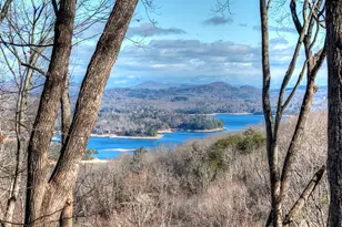 427 Green Ridge Rd, Blue Ridge, GA 30513 - Photo 8