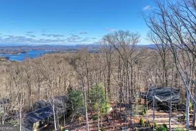 427 Green Ridge Road, Blue Ridge, GA 30513 - Photo 48