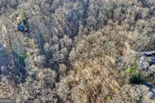 427 Green Ridge Rd, Blue Ridge, GA 30513 - Photo 40