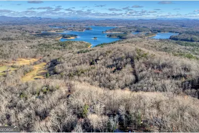 427 Green Ridge Road, Blue Ridge, GA 30513 - Photo 46