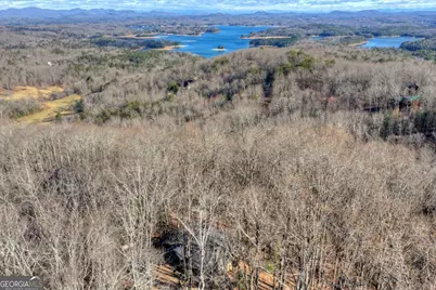 427 Green Ridge Road, Blue Ridge, GA 30513 - Photo 6