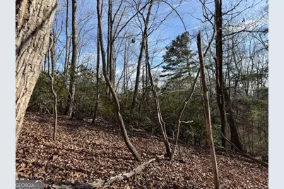 Lt 1502 Raspberry Lane, Clarkesville, GA 30523 - Photo 10