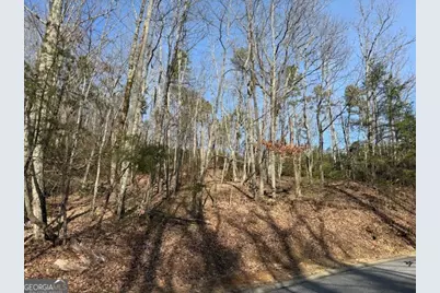 Lt 1502 Raspberry Lane, Clarkesville, GA 30523 - Photo 2