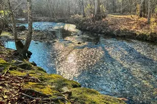 188 Clear Creek Valley Dr, Ellijay, GA 30536 - Photo 2