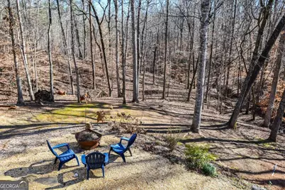 94 Dawson Drive, Dawsonville, GA 30534 - Photo 66