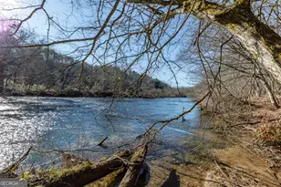 661 Toccoa River Forest, Mineral Bluff, GA 30559 - Photo 42