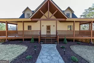 661 Toccoa River Forest, Mineral Bluff, GA 30559 - Photo 8