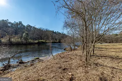 661 Toccoa River Forest, Mineral Bluff, GA 30559 - Photo 42