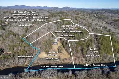 661 Toccoa River Forest, Mineral Bluff, GA 30559 - Photo 6