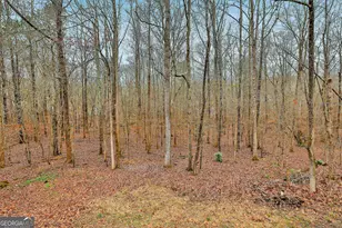 70 Wilkes Ct, Newnan, GA 30263 - Photo 34