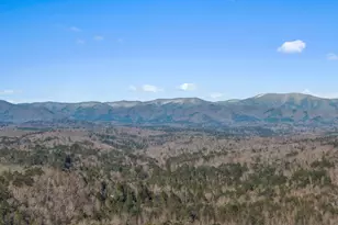 50 Thrasher Dr, Blue Ridge, GA 30513 - Photo 10