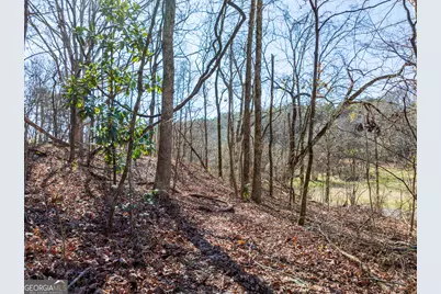 5.28 Acres Johnson Road, Chickamauga, GA 30707 - Photo 6