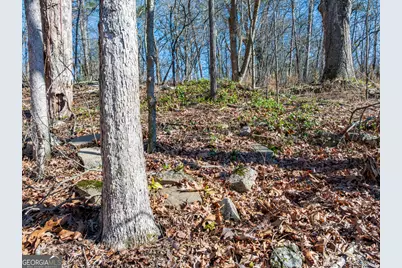 5.28 Acres Johnson Road, Chickamauga, GA 30707 - Photo 10