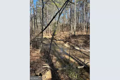 178 Crabapple Lane, Tyrone, GA 30290 - Photo 6