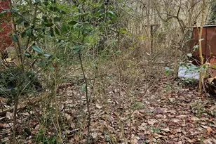 177 Fairground Rd, Lexington, GA 30648 - Photo 68