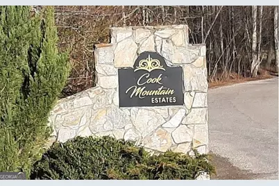 9 Cook Mountain Drive, Blairsville, GA 30512 - Photo 4