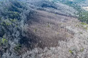 2077 Big Texas Valley, Rome, GA 30165 - Photo 38
