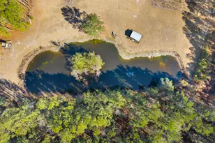 549 Kendricks Rd, Brooklet, GA 30415 - Photo 6