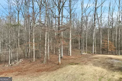 256 Jacob Drive, Hoschton, GA 30548 - Photo 38