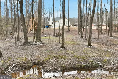 256 Jacob Drive, Hoschton, GA 30548 - Photo 46