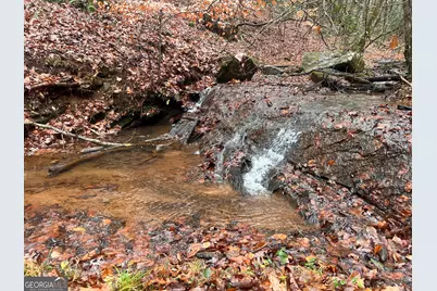 539 N Falling Water Drive, Demorest, GA 30535 - Photo 2