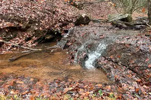 539 N Falling Water Dr, Demorest, GA 30535 - Photo 2