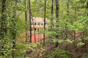 539 N Falling Water Dr, Demorest, GA 30535 - Photo 1