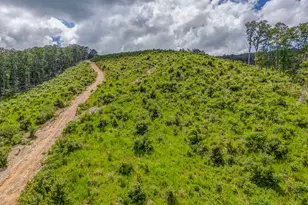 00 Big Texas Valley Road NW, Rome, GA 30165 - Photo 1