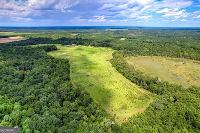 3280 Eden Church Road, Louisville, GA 30434 - Photo 10