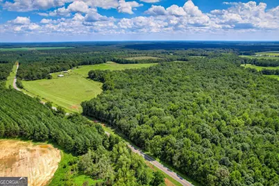 3280 Eden Church Road, Louisville, GA 30434 - Photo 4