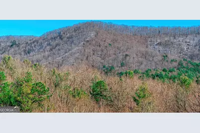 1023 Knollwood Road, Mineral Bluff, GA 30559 - Photo 84