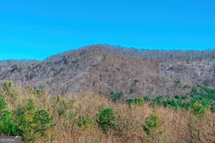 1023 Knollwood Rd, Mineral Bluff, GA 30559 - Photo 84