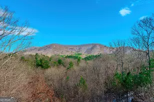 1023 Knollwood Rd, Mineral Bluff, GA 30559 - Photo 12