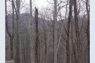 #16 Roaring Ridge, Hiawassee, GA 30546 - Photo 2