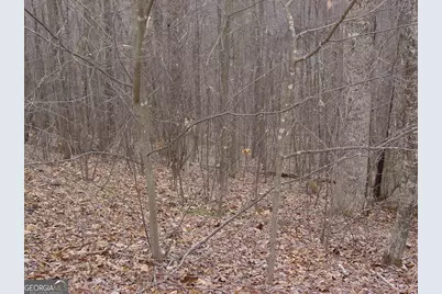 #17 Roaring Ridge, Hiawassee, GA 30546 - Photo 2