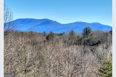 Lt 131 &amp; 132 Pack Creek Road, Blue Ridge, GA 30513 - Photo 14