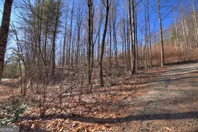 Lt 131 &amp; 132 Pack Creek Road, Blue Ridge, GA 30513 - Photo 16