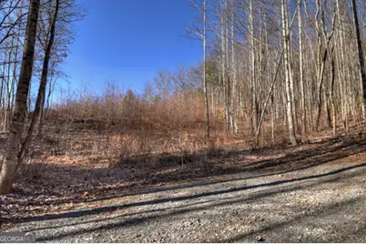 Lt 131 &amp; 132 Pack Creek Road, Blue Ridge, GA 30513 - Photo 18