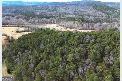 0 Manning Mill Road, Summerville, GA 30747 - Photo 16