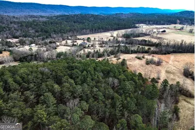 0 Manning Mill Road, Summerville, GA 30747 - Photo 20