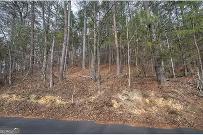 0 Manning Mill Road, Summerville, GA 30747 - Photo 4