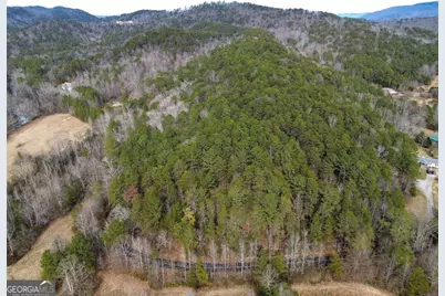 0 Manning Mill Road, Summerville, GA 30747 - Photo 8