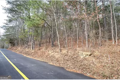 0 Manning Mill Road, Summerville, GA 30747 - Photo 2