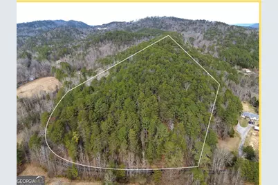 0 Manning Mill Road, Summerville, GA 30747 - Photo 1