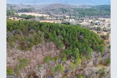 0 Manning Mill Road, Summerville, GA 30747 - Photo 12