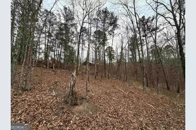 Lot 123 Lookout Trail, Sparta, GA 31087 - Photo 4