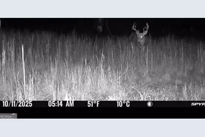 57.4 Acres County Line Church Road, Warm Springs, GA 31830 - Photo 32